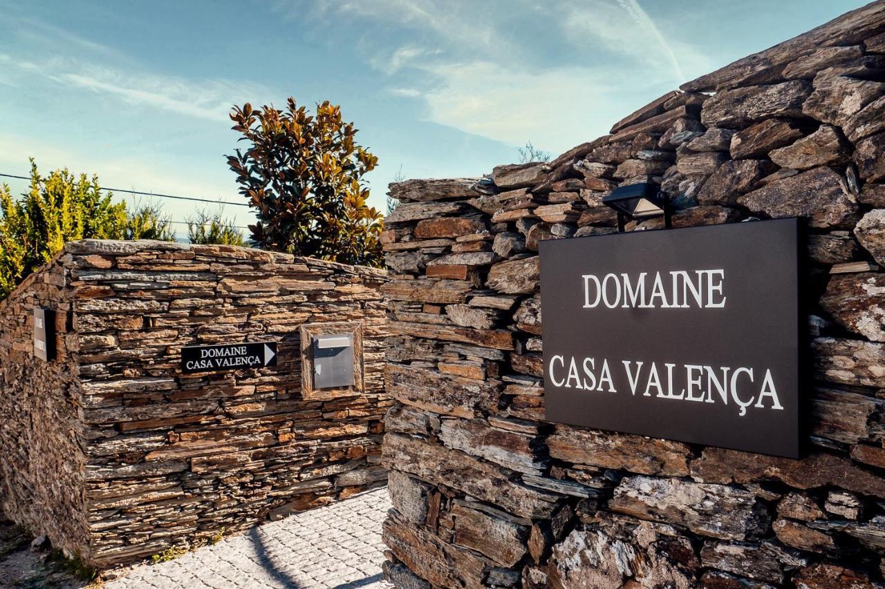 杜罗河畔瓦伦萨Casa Com Piscina No Coracao Do Douro - Domaine Casa Valenca,别墅 外观 照片