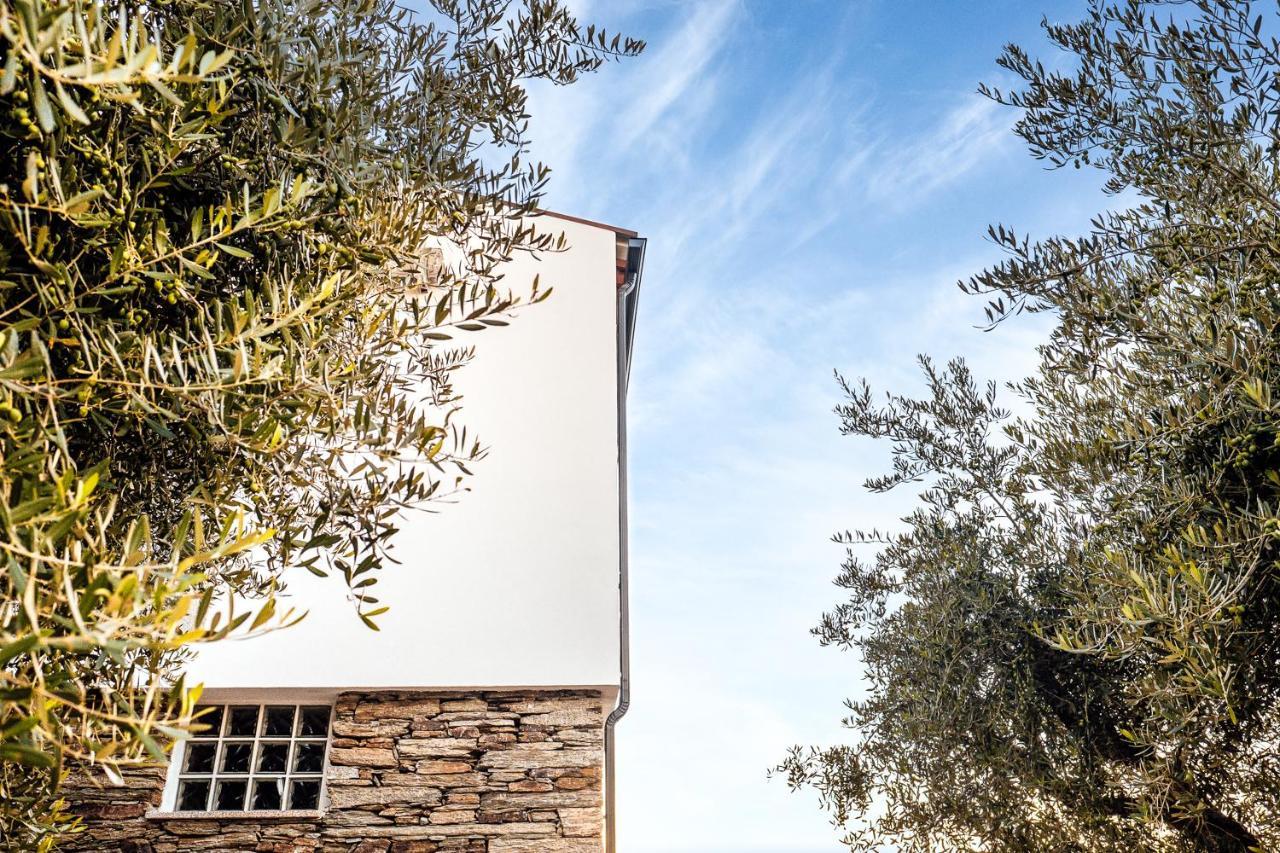 杜罗河畔瓦伦萨Casa Com Piscina No Coracao Do Douro - Domaine Casa Valenca,别墅 外观 照片