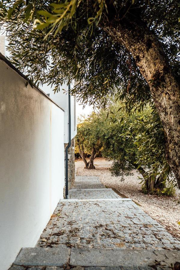 杜罗河畔瓦伦萨Casa Com Piscina No Coracao Do Douro - Domaine Casa Valenca,别墅 外观 照片