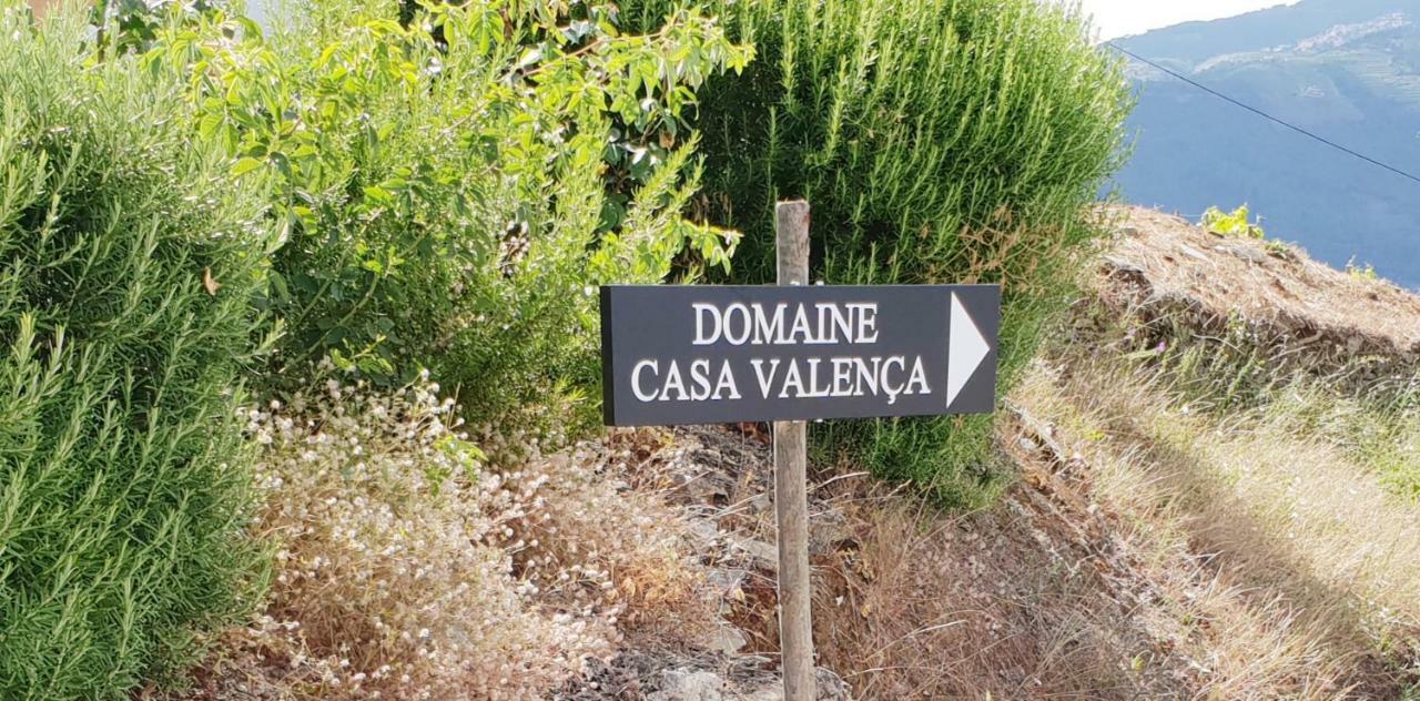 杜罗河畔瓦伦萨Casa Com Piscina No Coracao Do Douro - Domaine Casa Valenca,别墅 外观 照片